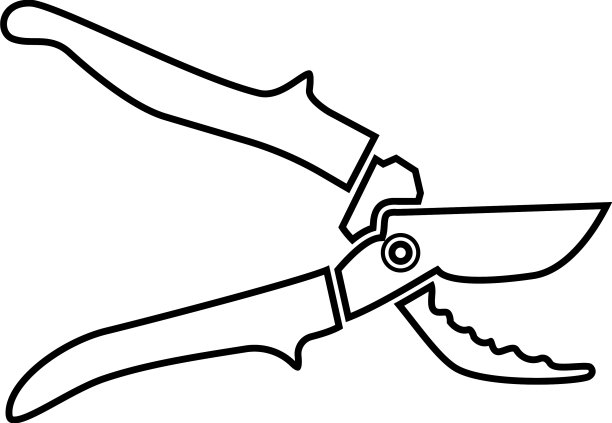 修枝机，花园修枝机，剪枝机，剪枝机图片下载