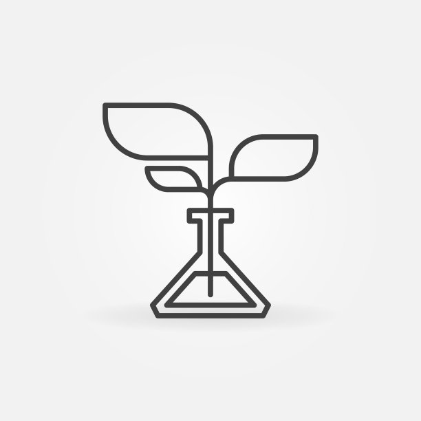 长有植物线形生长植物的烧瓶图片下载