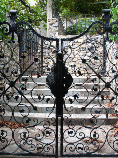 老盖茨图片下载