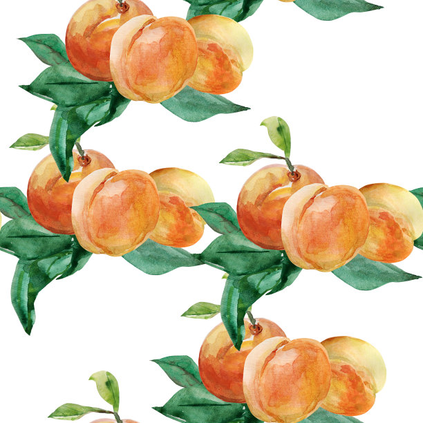 秋天的灌木丛里有昆虫。图片下载