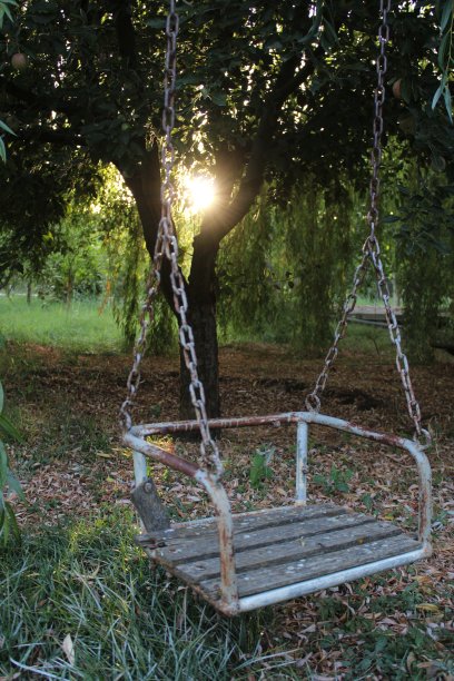 对象和性质图片下载