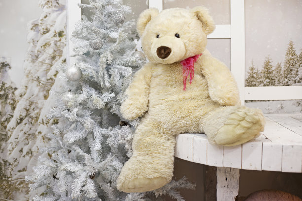 泰迪熊图片下载