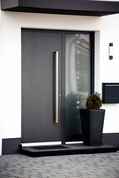 现代化的新无烟灰色前门图片下载