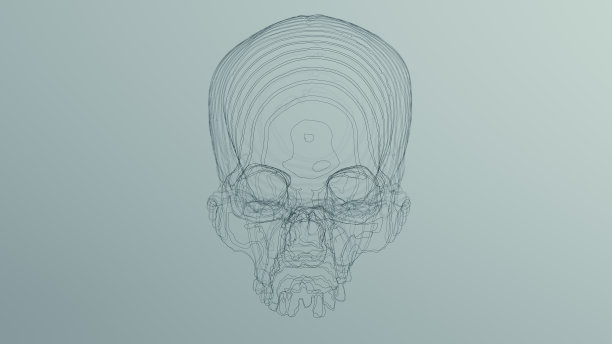 黑色解剖头骨线艺术线框雕塑图片下载