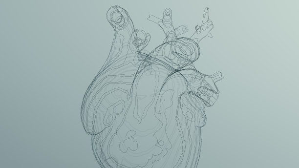 黑色解剖心脏线艺术线框雕塑图片下载