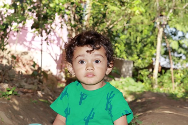 照片中，一个可爱的印度教徒社区的孩子穿着绿色的衬衫站在花园里看着相机图片下载