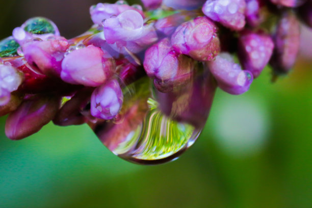 美丽的水滴图片下载