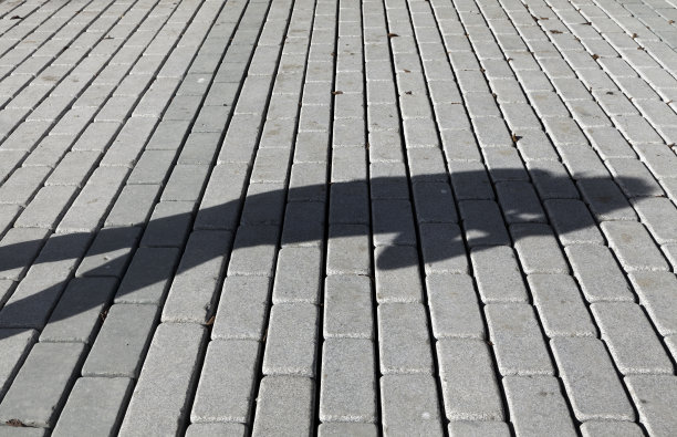 摄影师的影子图片下载