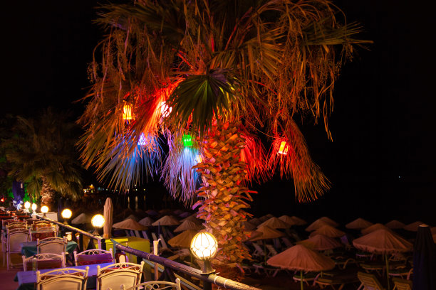 晚上堤岸海滩棕榈树上的节日彩灯。晚上沙滩图片下载