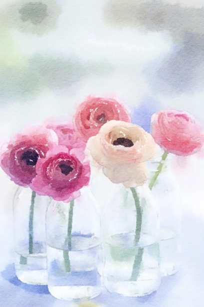 玻璃花瓶中的毛茛花图片下载