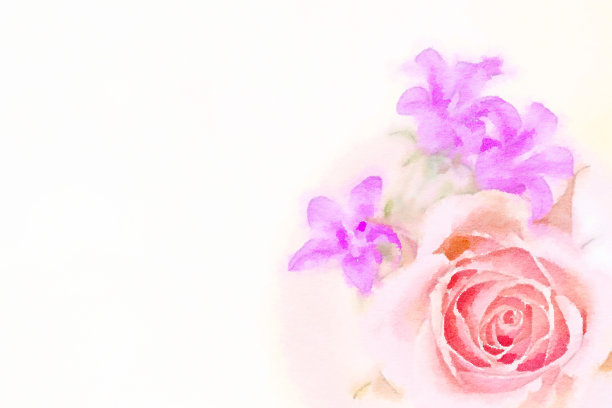 靠近紫色长春花和粉红色珊瑚玫瑰图片下载