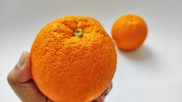 白色背景上的橙色水果。图片下载