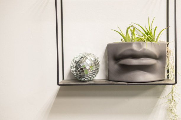 白色墙壁上的架子上有花纹的花盆里的肉质植物。附近有一个迪斯科球图片下载