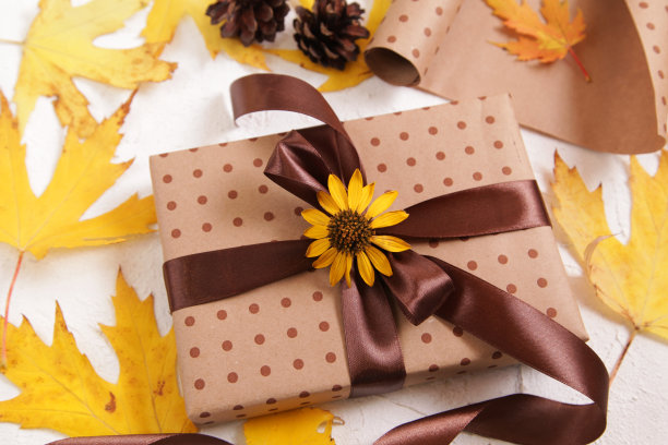 自然的礼物包装。秋季创意节日礼物。手工制作的纸制礼盒上有树叶干树叶，松果上有白色。感恩节，落个背景。本空间图片下载