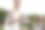 新娘在小型婚礼上享用自制的蛋糕。图片下载