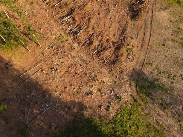 大自然00002年图片下载