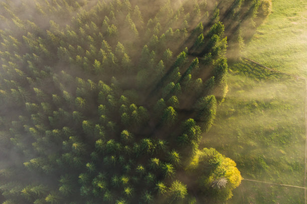 鸟瞰图的山景与晨雾图片下载