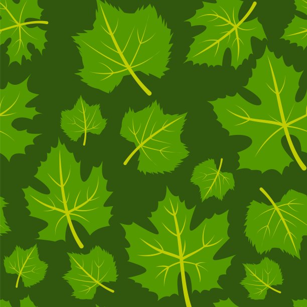 绿色的树叶。无缝图案与枫叶。背景。蔬菜插图。向量。图片下载