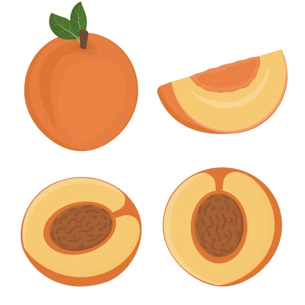 集水果桃子与石头，颜色分离矢量插图图片下载