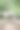 泰国的自然森林图片下载