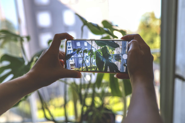 给植物拍照图片下载