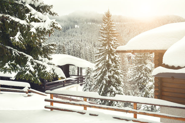 阿尔卑斯山山上白雪覆盖的树木和房屋。图片下载