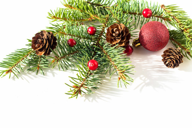 在圣诞节的白色背景上用冷杉绿色的新年树枝，圆锥体，红色的玻璃球和红色的蔓越莓组成。图片下载