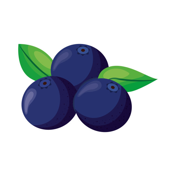 蓝莓水果矢量图片下载