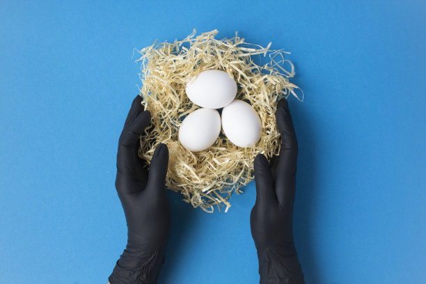 女性双手戴着黑色的手套，白色的鸡蛋在一窝稻草的蓝色背景上图片下载