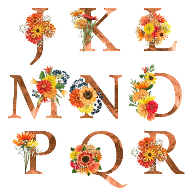 一套花的字母与秋天的花图片下载