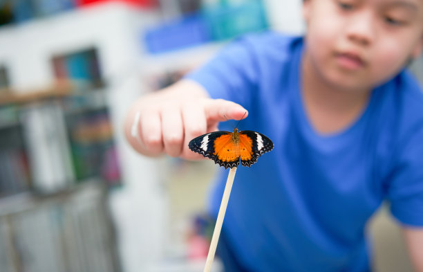 小男孩伸出手，触摸着模糊的背景。图片下载