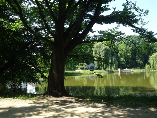 公园景观配小湖图片下载