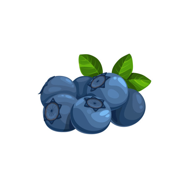 蓝莓与绿叶堆野莓图片下载