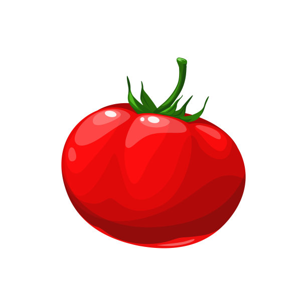 成熟的西红柿蔬菜新鲜的植物图片下载