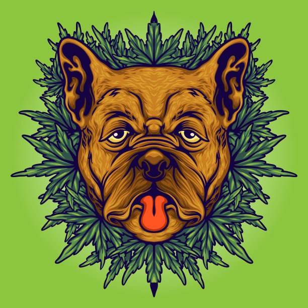 狗草大麻背景图片下载