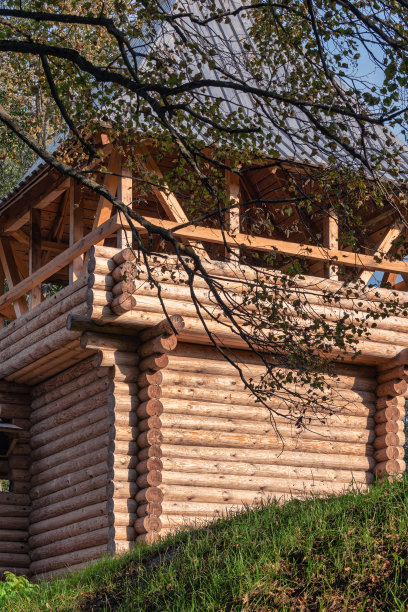 在山上重建了一个木制瞭望塔，可以透过树枝看到。低角度摄影。历史防御性建筑和建筑。图片下载