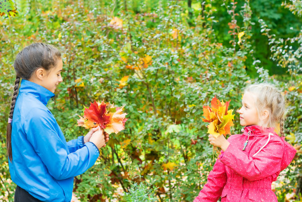 两个小妹妹在秋天的公园里散步，站在枫叶花束旁。图片下载