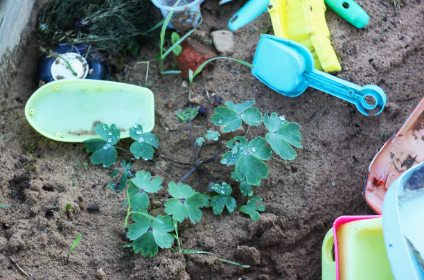 户外沙箱的细节。儿童游戏过程中的自然因素图片下载
