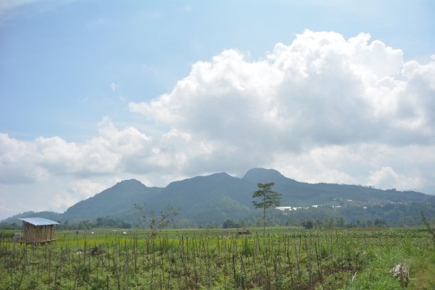 高地地区的山景图片下载