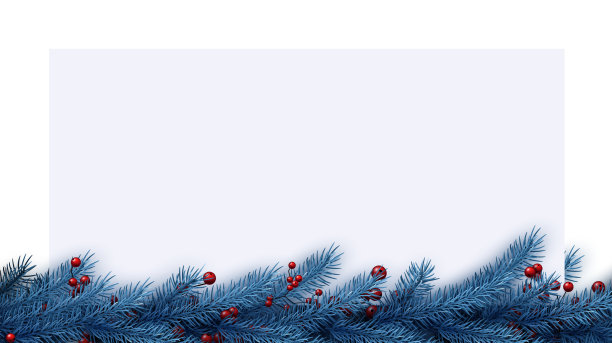 圣诞蓝冷杉背景与红色浆果图片下载