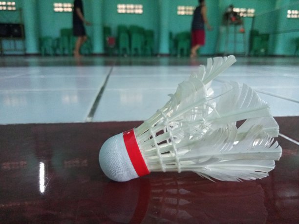在陶瓷地板上打羽毛球图片下载
