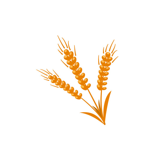 穗小麦或大麦为谷物生产平图片下载