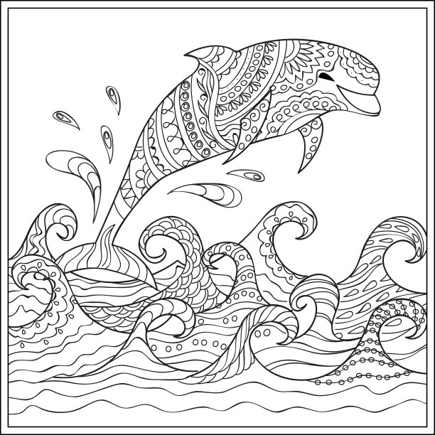 波浪中的海豚图片下载