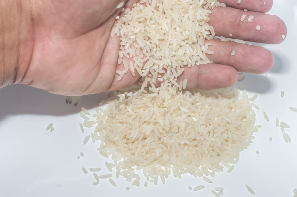 白色背景的米粒图片下载