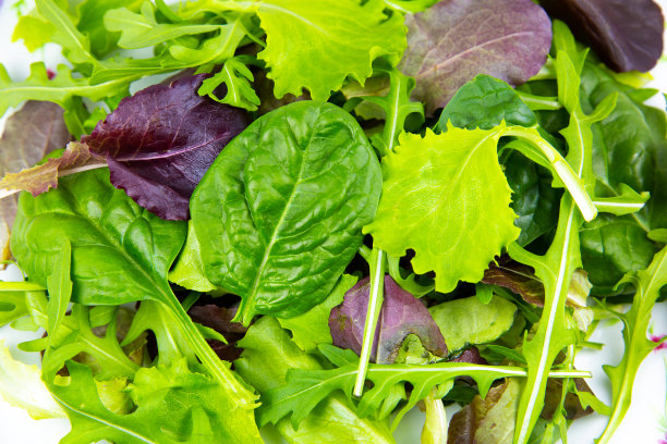 绿莴苣、芝麻菜和菠菜的叶子合拢。新鲜的沙拉质地背景。素食者,健康食品。蔬菜和维生素制品。宏观照片。图片下载