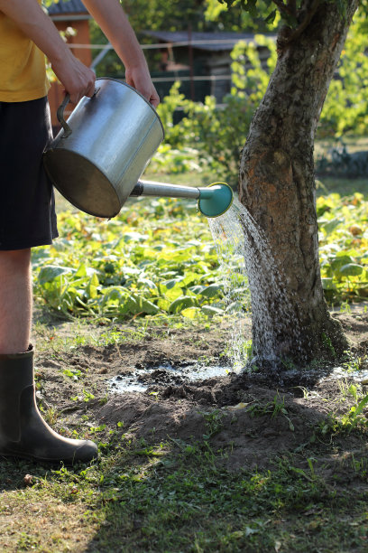 对大增长的小担忧图片下载