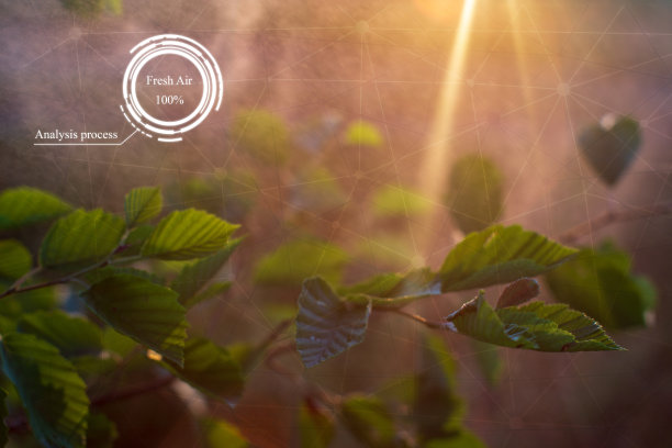 智能生态系统的未来创新。空气新鲜的评估图片下载