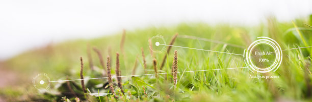 智能生态系统的未来创新。空气新鲜的评估图片下载