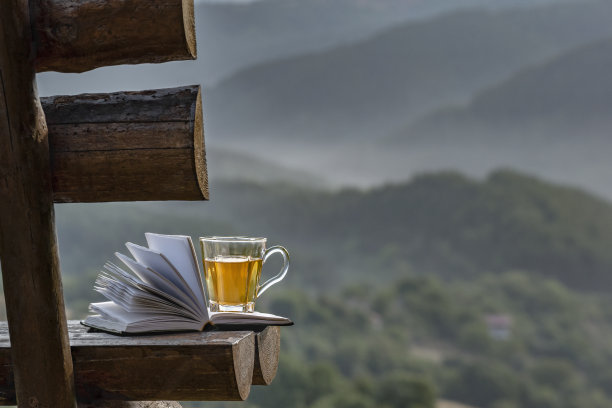 打开书本，在雾气缭绕的山林背景上，在木制的乡村长凳上，一杯花草茶。健康假期，假期，在保加利亚罗辛多山脉的自然健康休息时间图片下载