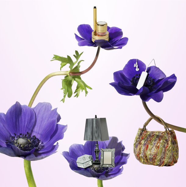 紫罗兰群上的物体图片下载